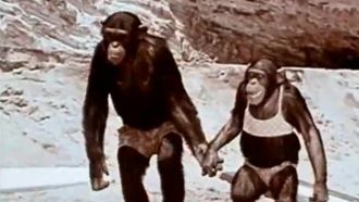 Episode 7 The Surfin' Spy / The Missing Link