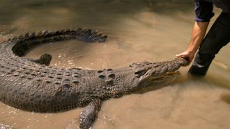 Episode 2 Life Insurance Ain't That Good, Baby