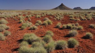 Episode 1 The Early Days