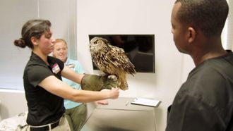 Episode 6 Hope for Hoppy