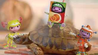Episode 7 Project Tortoise