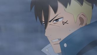 Episode 230 A Wish