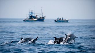 Episode 3 Ocean of Giants