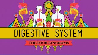 Episode 29 The Excretory System: From Your Heart to the Toilet