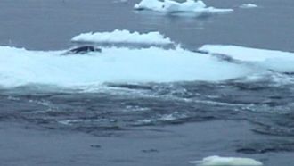 Episode 2 Predators of the Deep