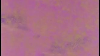 Episode 88 Fate of the Planet Crossroads