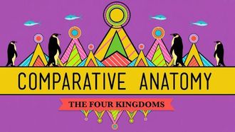 Episode 21 Comparative Anatomy: What Makes Us Animals