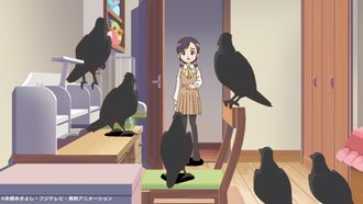 Episode 7 Birds