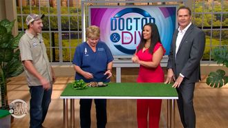 Episode 6 Las Vegas Mass Shooting, Hot Bod vs. Dad Bod & Space Farms Zoo!