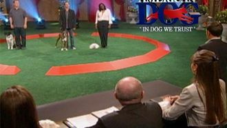 Episode 10 Greatest American Dog