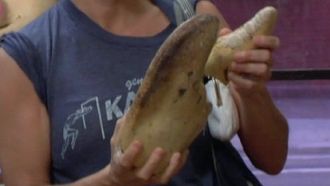 Episode 5 Mummified Hand