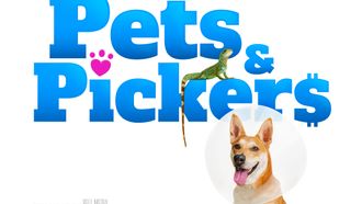 Episode 1 Pets, Pickers & Problems