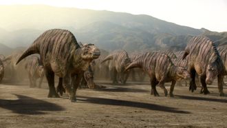 Episode 5 Chapter 5: In the Shadow of Giants