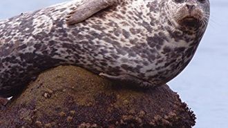 Episode 3 Monterey Bay Marine Sanctuary