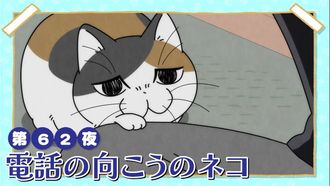Episode 62 Night 62: A Cat On the Other End of the Line