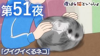 Episode 51 Night 51: The 'Aggressive Approach' Cat