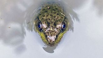 Episode 3 Marvels and Mysteries