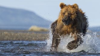 Episode 6 Race Against Time (Coasts)