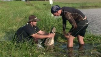 Episode 1 Mud Gator Attacks