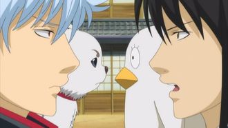 Episode 15 Pets Resemble Their Owners!