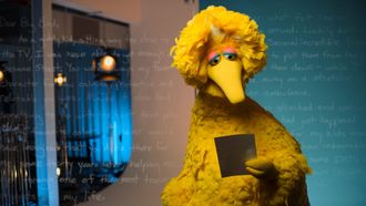 Episode 6 Big Bird