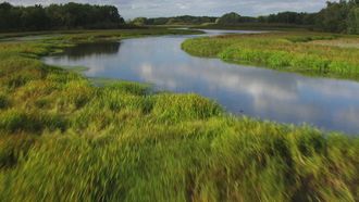 Episode 4 Mississippi Bigfoot, UFO Shot Down over Great Lakes & Mexico's Alien Corpses