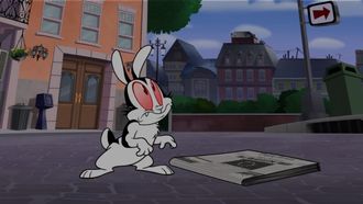 Episode 25 Sunday Bunnday