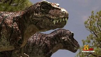 Episode 8 Largest Killers