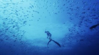Episode 2 The Sub-Tropical Zone