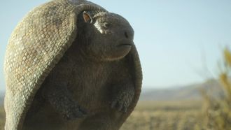 Episode 4 Grass Lands