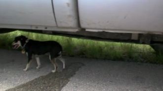 Episode 3 Pythons, Gators & Grizzlies, Oh My!