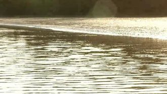 Episode 5 Never Strand a Mate