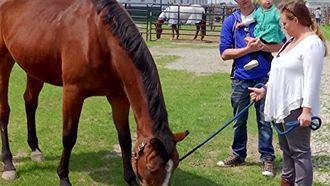 Episode 2 So Much to Lose