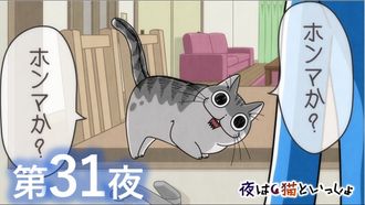 Episode 31 Night 31: My Cat Only Says Words I Haven't Taught Him