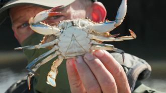 Episode 1 Monster Crabber