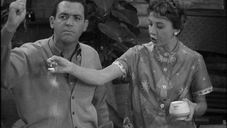 Episode 17 Punch Thy Neighbor