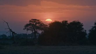 Episode 6 Kenya and Tanzania Part 2
