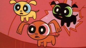 Episode 1 Monkey See, Doggie Do