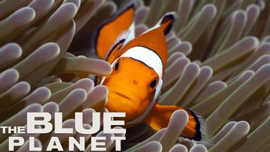 The Blue Planet