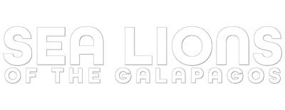 Sea Lions of the Galapagos logo