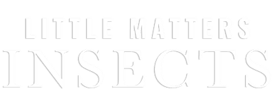 Little Matters: Insects logo
