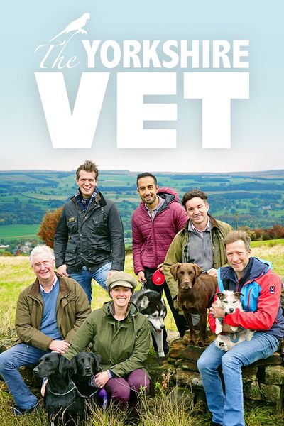 The Yorkshire Vet