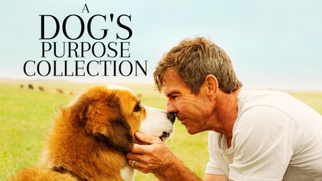 A Dog's Purpose