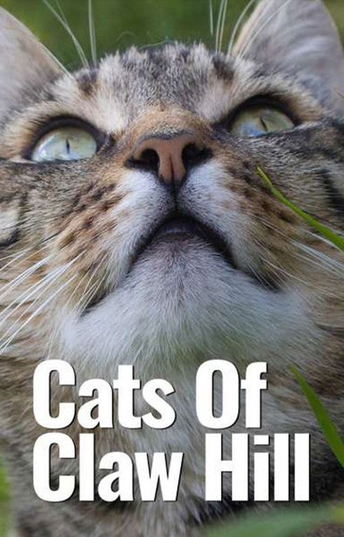 Cathouse The Series Where to Stream & Watch Online?