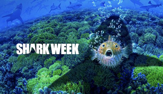 Shark Week - Season 38 Episode 7