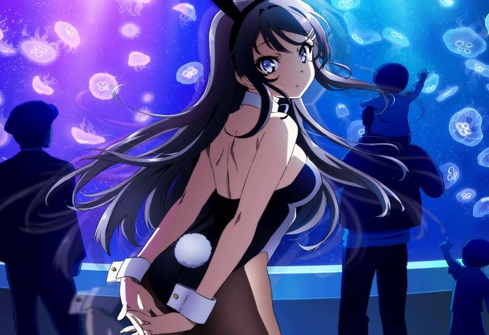 Crunchyroll Premium