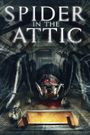 Spider in the Attic