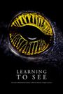 Learning to See: The World of Insects