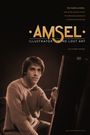 Amsel: Illustrator of the Lost Art
