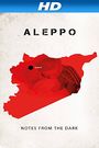 Aleppo. Notes from the Dark